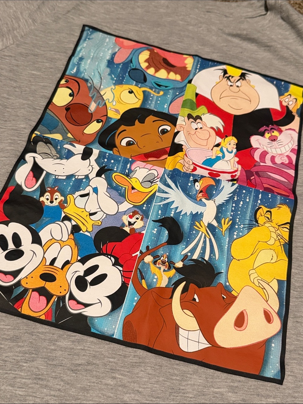 Beautiful Disney Character tee (XXL/19) - like new!